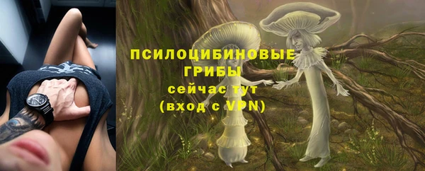 крисы Арсеньев