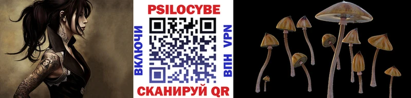 Псилоцибиновые грибы мухоморы  дарнет шоп  ОМГ ОМГ ССЫЛКА  Макарьев 