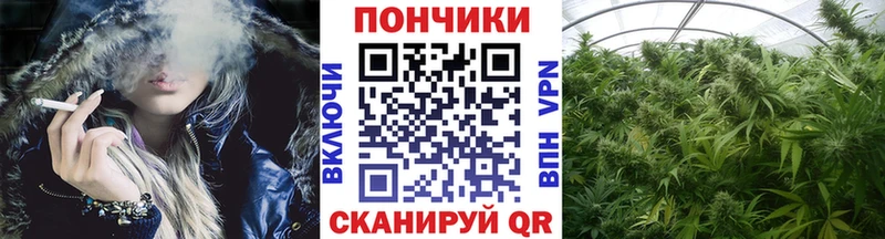 Шишки марихуана семена Макарьев